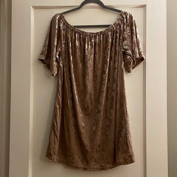 Forever 21 Velvet Burnout Off-Shoulder Dress - Picture 2 of 3